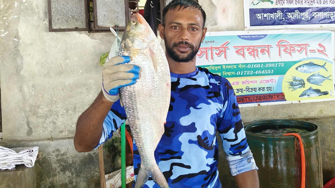 ২ কেজি ১০০ গ্রাম ওজনের ইলিশটি। ছবি- রূপালী বাংলাদেশ