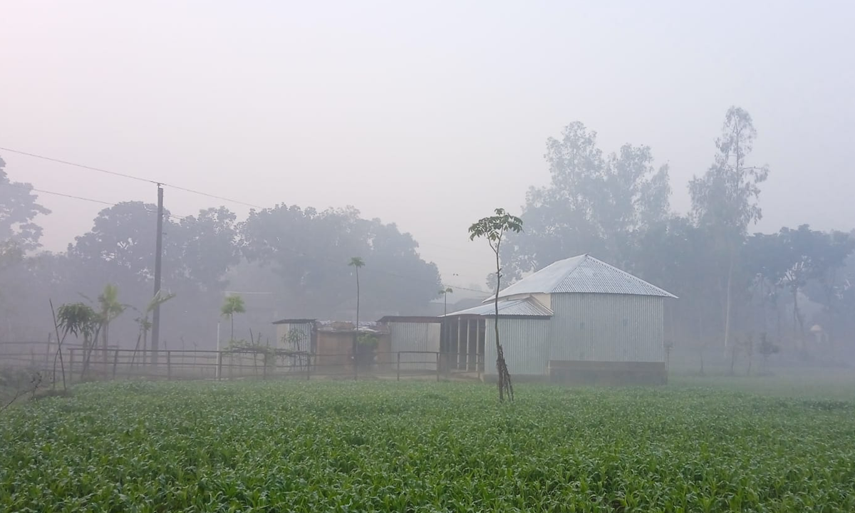 শীতের সকাল।  ছবি- রূপালী বাংলাদেশ