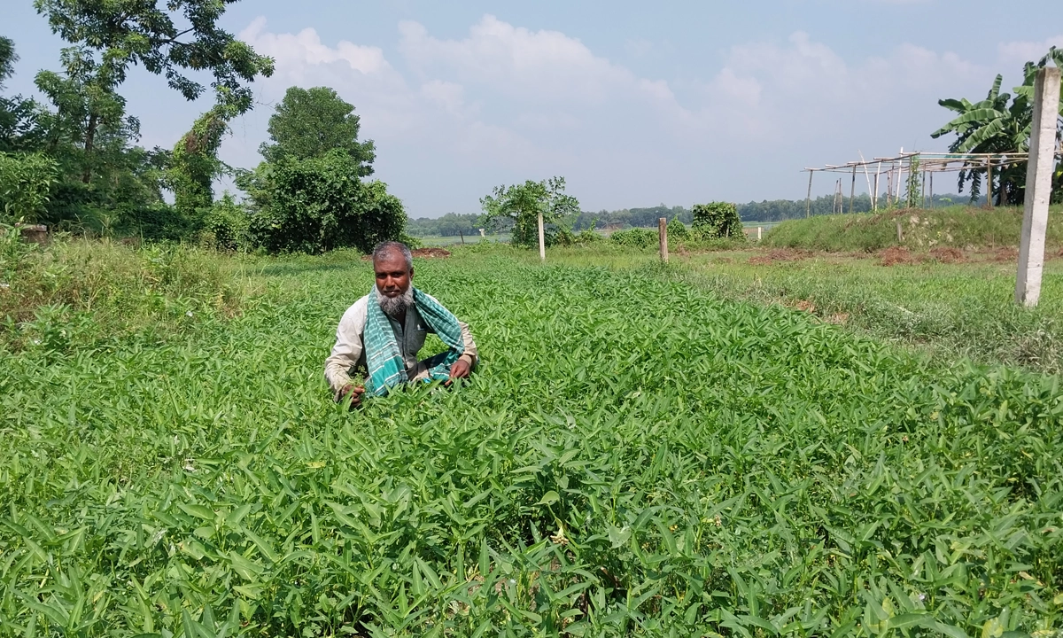 ছবি-রূপালী বাংলাদেশ