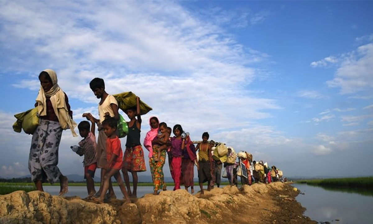 রোহিঙ্গা শরণার্থী। ছবি - সংগৃহীত