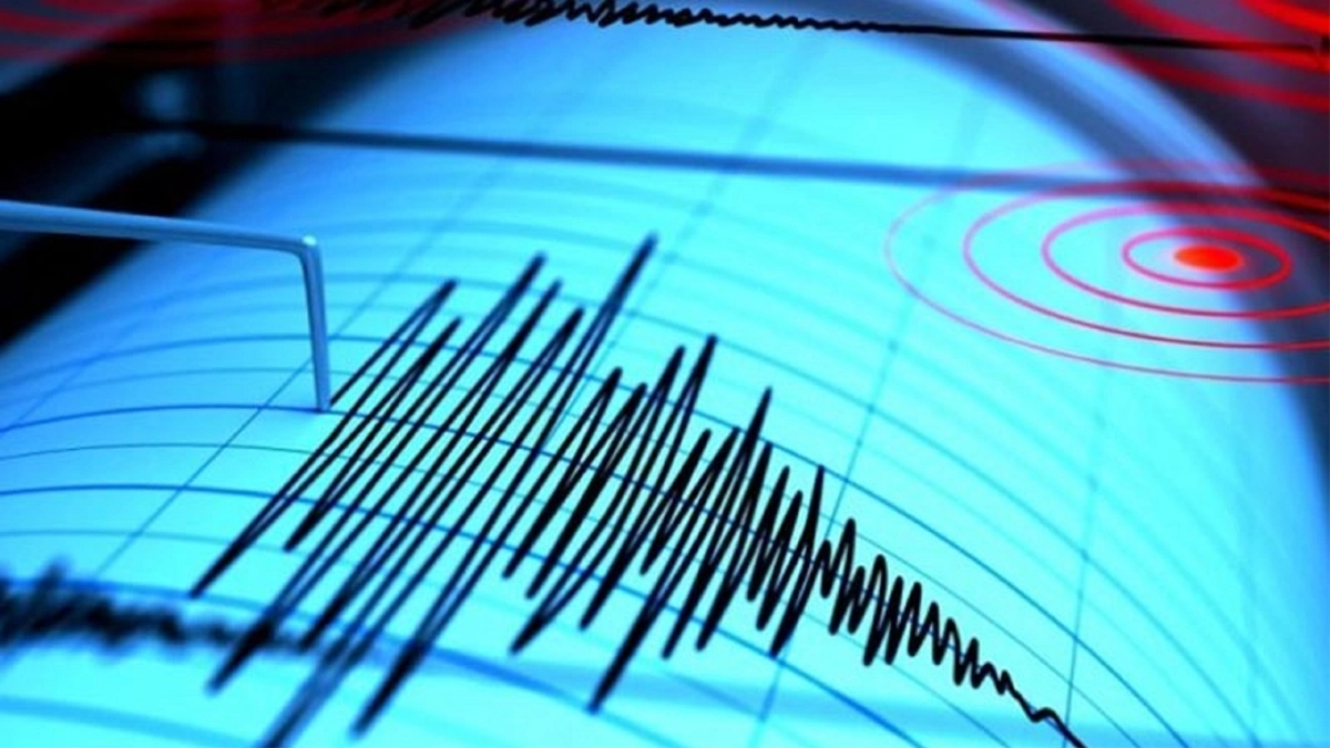 ছবি - সংগৃহীত