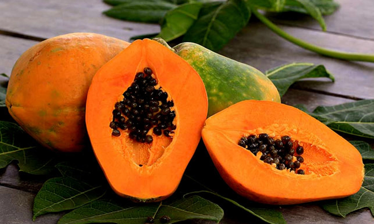 পাঁকা পেঁপে। ছবি- সংগৃহীত