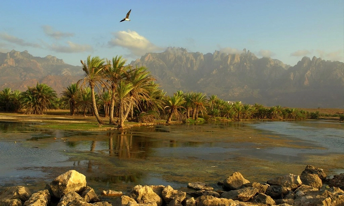 ছবি- সংগৃহীত