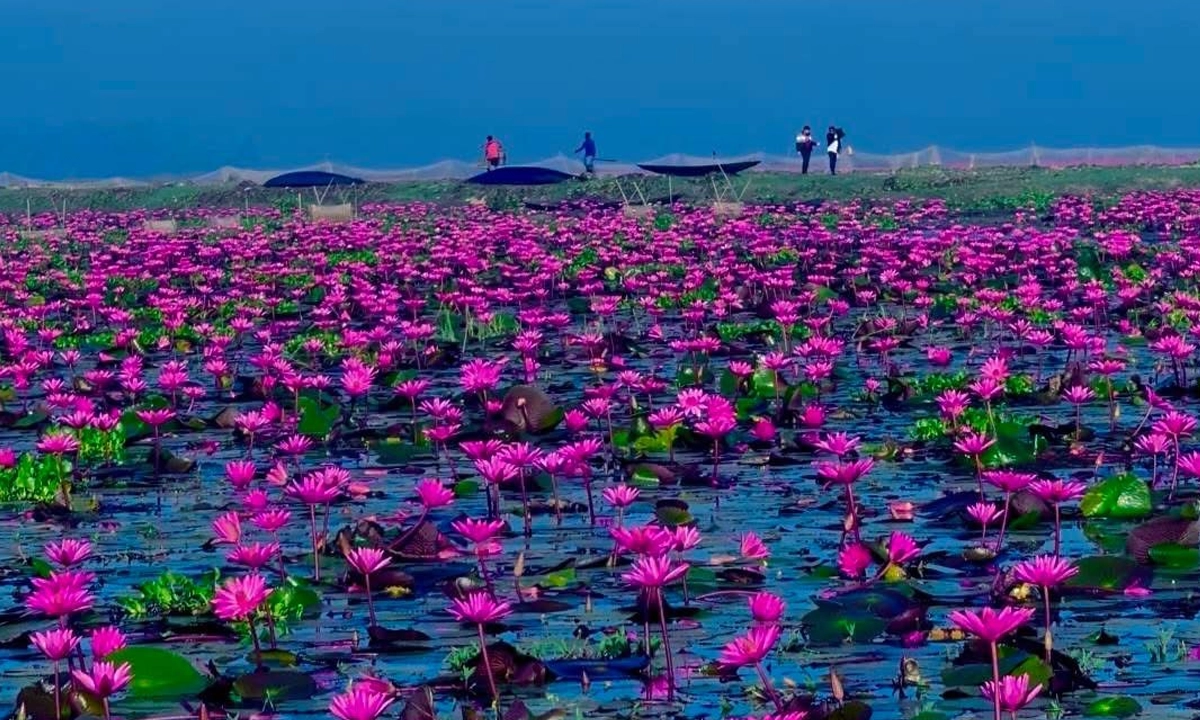 ছবি-রূপালী বাংলাদেশ