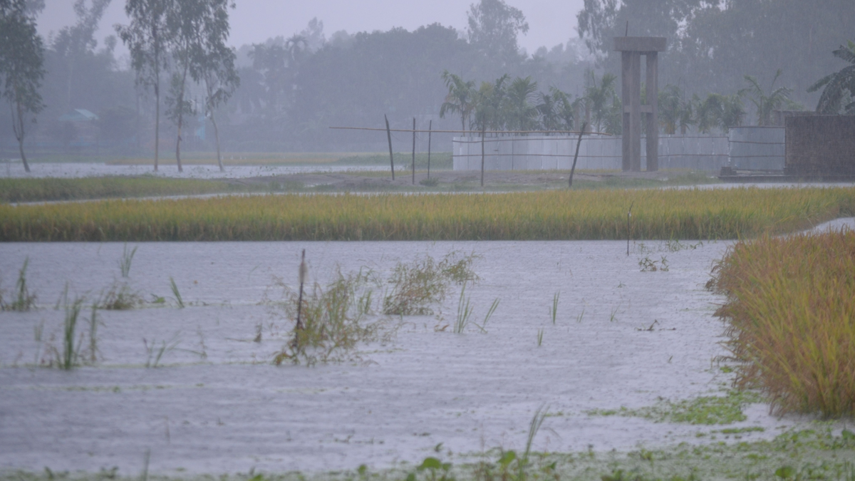কুড়িগ্রামে রেকর্ড পরিমাণ বৃষ্টি। ছবি : রূপালী বাংলাদেশ