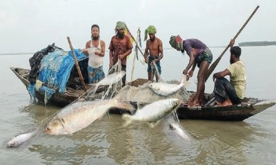 মা ইলিশ রক্ষায় নদী ও উপকূলে বিমান বাহিনীর বিশেষ টহল