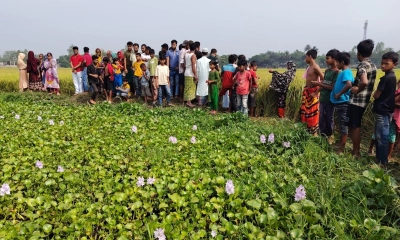 ভৈরবে দাম্পত্য কলহের নিষ্ঠুর বলি ৭ মাসের সন্তান