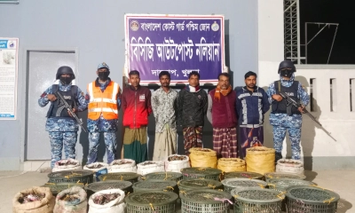 সুন্দরবনে অবৈধভাবে শিকার করা ৪৯০ কেজি কাঁকড়াসহ আটক ৫