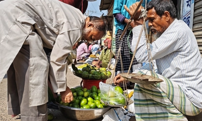 প্রথম রমজানেই ভাঙ্গুড়ায় লেবুর দাম আকাশচুম্বী