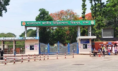 মিরপুর চিড়িয়াখানার খাঁচা থেকে বেরিয়ে গেল সিংহ