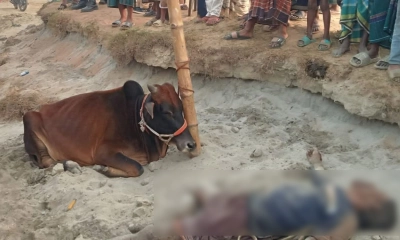 পাকুন্দিয়ায় ‘গরু চুরির অভিযোগে’ গণপিটুনিতে নিহত ১