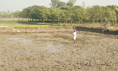 বাগাতিপাড়ায় নিষিদ্ধ কারেন্ট জালে পাখি শিকার