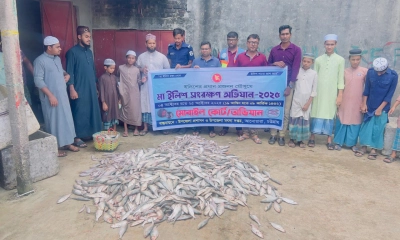 আনোয়ারায় ২১৫ কেজি ইলিশ জব্দ, ৮ জেলে কারাগারে