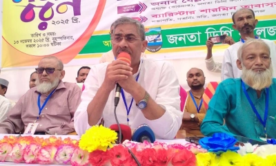 এআই দিয়ে ছবি বানিয়ে লকডাউন করছে আ. লীগ: এ্যানি