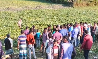 কচুরিপানার নিচে বৃদ্ধার ক্ষতবিক্ষত মরদেহ
