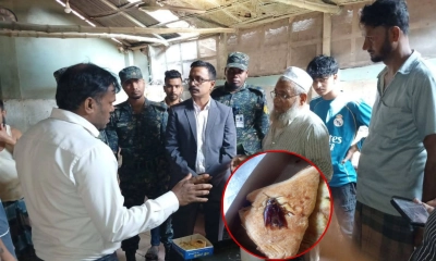 প্যাটিসে তেলাপোকা: শাহী বেকারিকে লাখ টাকা জরিমানা