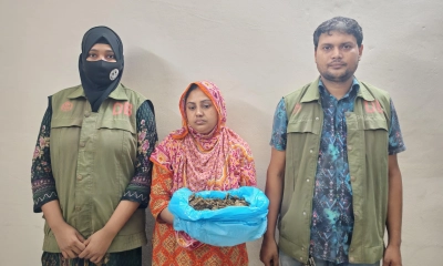 গাঁজা বিক্রির সময় হঠাৎ পুলিশ, স্ত্রীকে রেখে পালালেন স্বামী