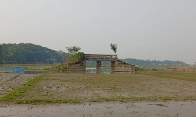 খাল নেই, নদী নেই, রাস্তা নেই—বিলের মাঝে সেতু