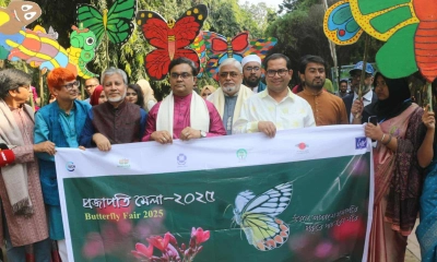 জাবিতে উৎসবমুখর আয়োজনে প্রজাপতি মেলা