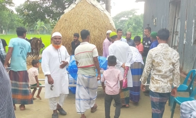 নান্দাইলে বাঁশের পাতা পাড়তে গিয়ে বিদ্যুৎস্পৃষ্টে কৃষকের মৃত্যু