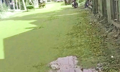 প্রতীক্ষার অবসান হলেও প্রশ্নের মুখে শৈলকুপা-গাড়াগঞ্জ সড়ক পুনর্নির্মাণ