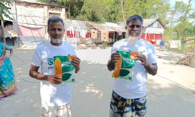 উইগ্রোর নারিশ ৫৫: মাঠে নেমেই কৃষকের আশাবাদের গল্পে শামিল হচ্ছে যে ভুট্টা বীজ