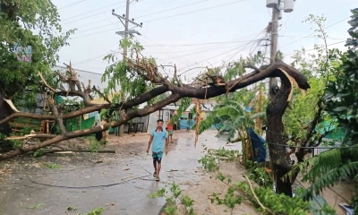 আখাউড়ায় কালবৈশাখির তাণ্ডবে বিপর্যস্ত জনজীবন