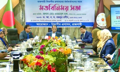 গণভোটে ‘হ্যাঁ’ বা ‘না’ প্রচারে অংশ নেবেন না সরকারি কর্মচারীরা