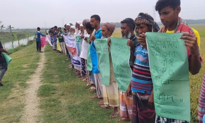সরকারি খালে অবৈধ বাঁধ, ক্ষতিগ্রস্ত ৫ হাজার বিঘা জমির ধান