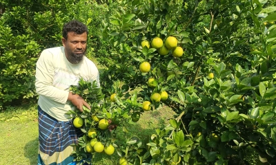 ছবি- রূপালী বাংলাদেশ