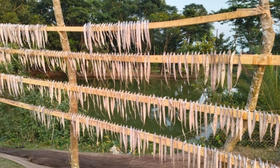 আসছে মৌসুম, কুয়াকাটায় শুঁটকিপল্লী নির্মাণে ব্যস্ত শ্রমিকরা