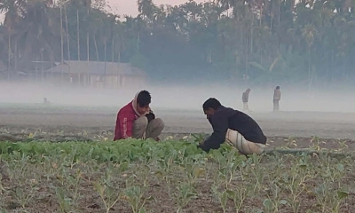 শীতে বিপর্যস্ত উত্তরাঞ্চল, ব্যাহত কৃষিকাজ