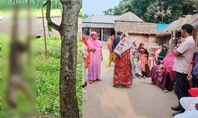 শেয়ালের কামড়ে নারীর মৃত্যু, গ্রামজুড়ে আতঙ্ক