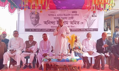 মাদক ও সন্ত্রাসমুক্ত যশোর গড়তে ধানের শীষে ভোট দিন : অমিত