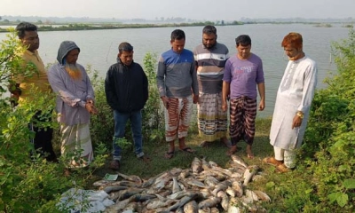 বাড়িতে বোমা, পুকুরে বিষ