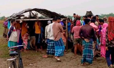 কোরবানিতে বিক্রির জন্য রাখা গরুগুলো মারা গেল বজ্রপাতে