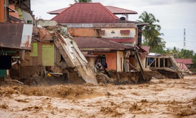ছবি- সংগৃহীত