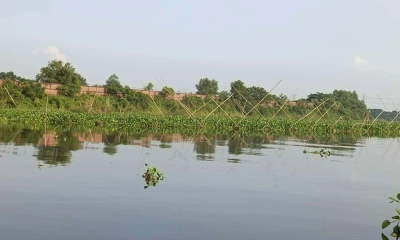নদী ও শাখানদীতে প্রভাবশালীদের অবৈধ মাছের ঘের। ছবি- রূপালী বাংলাদেশ