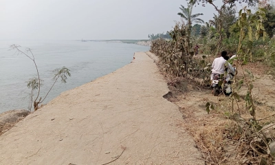 অসময়ে যমুনার ভাঙনে সড়ক, বসতবাড়ি, ফসলি জমি নদীগর্ভে বিলীন