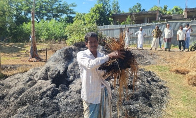 ছবি- রূপালী বাংলাদেশ