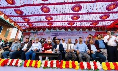 আমাদের সুযোগ দিতে ধানের শীষে ভোট দিন : হুমায়ুন কবির