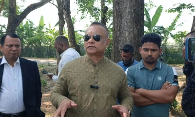 গাছ কেটে কোনো প্রকল্প নয়