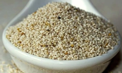 চট্টগ্রাম বন্দরে ২৫ টন আমদানি নিষিদ্ধ পপি সিড আটক