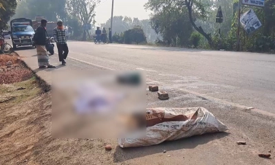 গোপালগঞ্জে বাসচাপায় অজ্ঞাত নারী নিহত
