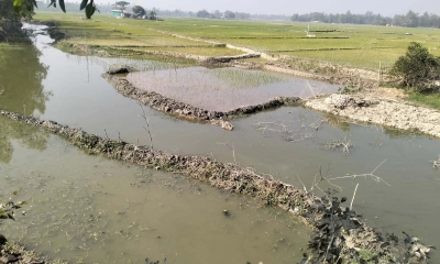 খাল দখলের মহোৎসব