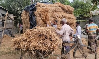 ধানের চেয়ে খড়ের মূল্য বেশি!