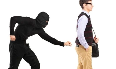 শহীদ মিনারে আইফোনসহ ১২ মোবাইল চুরি