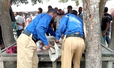 মরা গরুর মাংস রেখেই পালালেন কসাই