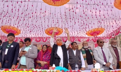 গণতন্ত্র পুনরুদ্ধারে ধানের শীষে ভোট দিন : লাভলু