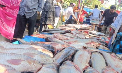 ছবি- রূপালী বাংলাদেশ